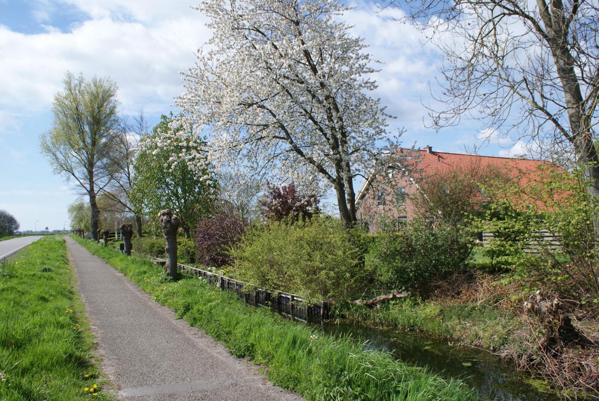 Gastenverblijf De Natureluur Apartamento Noorden Exterior foto